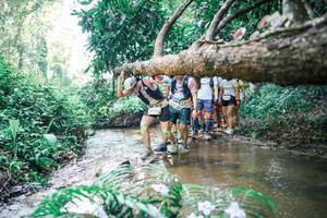 BIB: 
                            <button type="button" onclick="openModal(25467344)" class="btn btn-primary btn-sm float-right btn-popup" data-toggle="modal" data-target=".modal-high-quality">
                        <i class="fas fa-shopping-cart"></i> Add to Cart
                    </button>
                                            <button type="button" onclick="isThisMe(25467344, true)" class="btn btn-success btn-sm float-right btn-popup btn-isme hidden" data-toggle="tooltip" data-placement="bottom" title="นี่คือรูปของคุณใช่ไหม คลิกที่นี่เพื่อเอาเข้าอัลบั้ม">
                        <i class="fas fa-plus"></i> Add to album
                    </button>
                    <button type="button" onclick="isThisMe(25467344, false)" class="btn btn-warning btn-sm float-right btn-popup btn-isnotme hidden">
                        <i class="fas fa-ban"></i> Remove from album
                    </button>